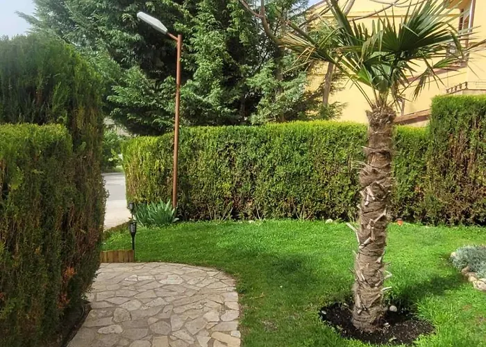 романтика Daire *